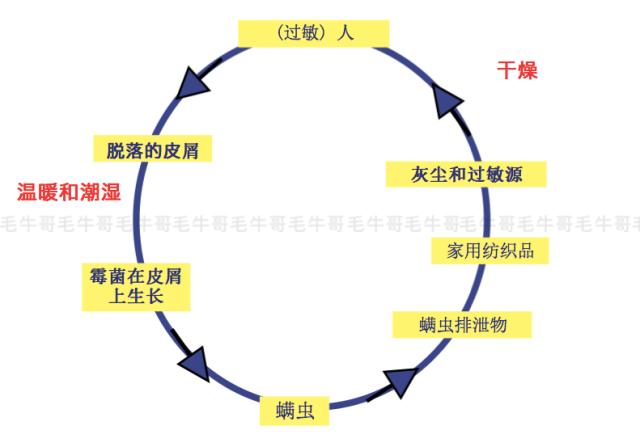 买床垫千万不能忽略的地方，看完这篇你就明白了