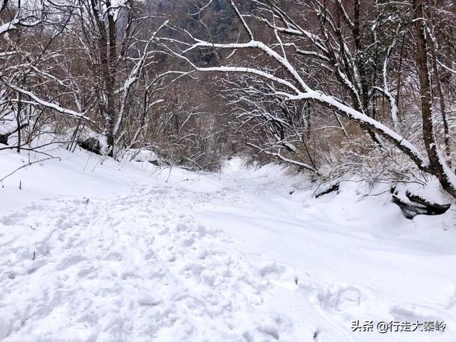 「23」林海雪原 冰雪盛宴——2020.01.12沣峪大坝沟穿越小坝沟