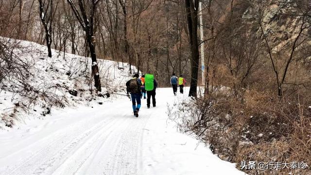 「23」林海雪原 冰雪盛宴——2020.01.12沣峪大坝沟穿越小坝沟