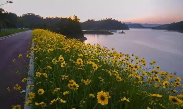 避开人群来千岛湖赏湖光山色，睡精品美宿