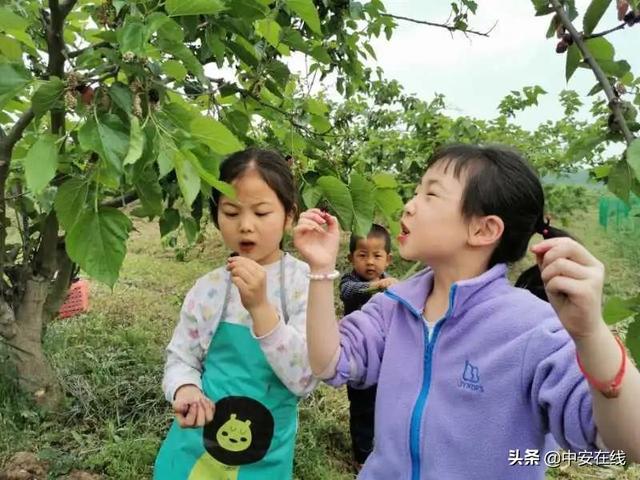 粽享皖美假期｜来安徽，游遍这十条与“粽”不同的绝美线路