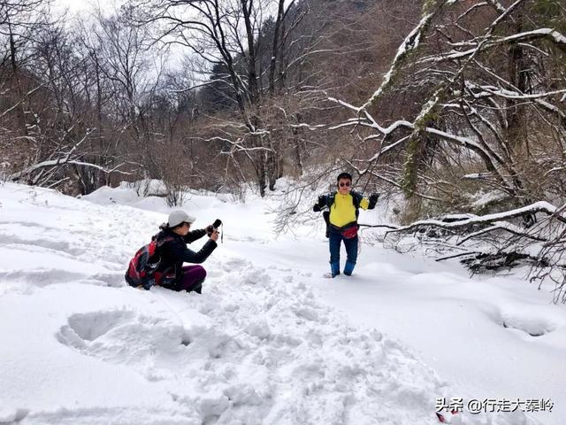 「23」林海雪原 冰雪盛宴——2020.01.12沣峪大坝沟穿越小坝沟