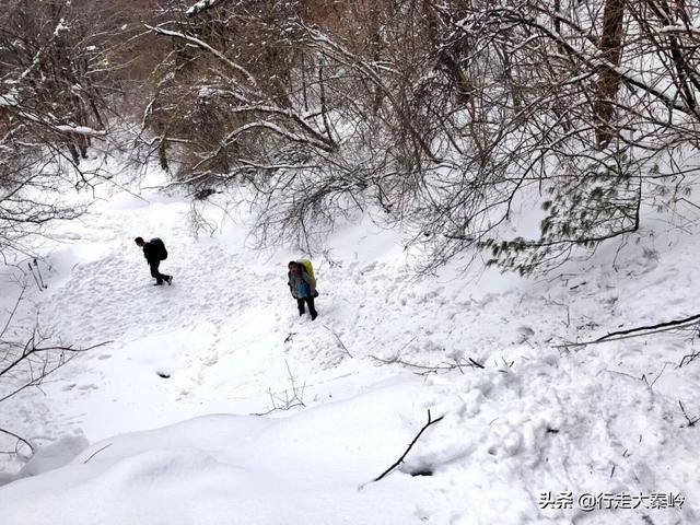 「23」林海雪原 冰雪盛宴——2020.01.12沣峪大坝沟穿越小坝沟