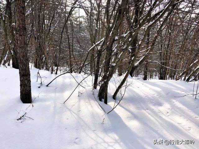 「23」林海雪原 冰雪盛宴——2020.01.12沣峪大坝沟穿越小坝沟