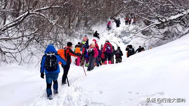 「23」林海雪原 冰雪盛宴——2020.01.12沣峪大坝沟穿越小坝沟