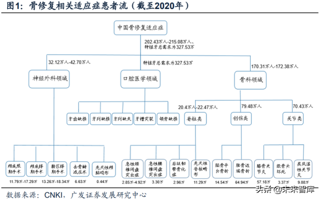 骨修复行业深度报告：空间广、厚壁垒、细分领域龙头众多