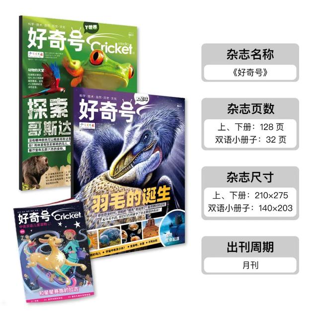 3-15岁孩子最爱的期刊们，都在“2023勇读杂志专场”