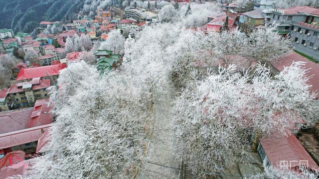 江南春季  庐山牯岭山城现“冬山如玉”美景