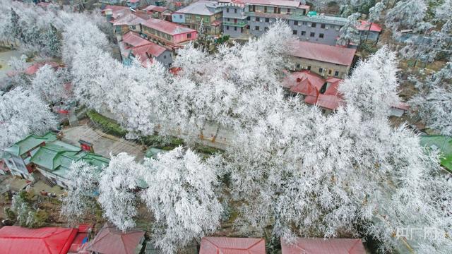 江南春季  庐山牯岭山城现“冬山如玉”美景