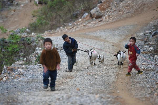 十一年影像见证“悬崖天梯少年”走出大山历程