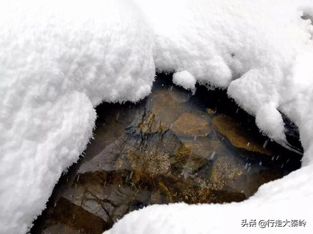 「23」林海雪原 冰雪盛宴——2020.01.12沣峪大坝沟穿越小坝沟