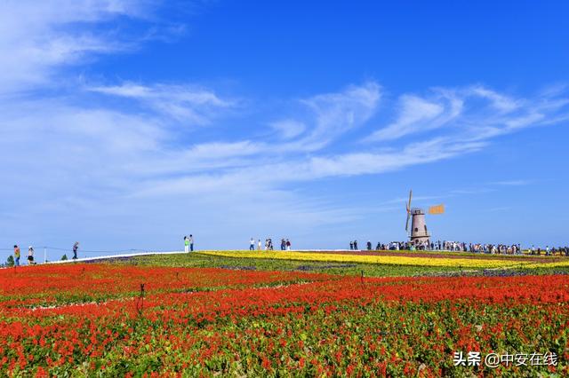 粽享皖美假期｜来安徽，游遍这十条与“粽”不同的绝美线路