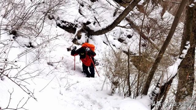 「23」林海雪原 冰雪盛宴——2020.01.12沣峪大坝沟穿越小坝沟