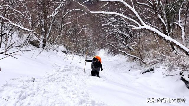 「23」林海雪原 冰雪盛宴——2020.01.12沣峪大坝沟穿越小坝沟