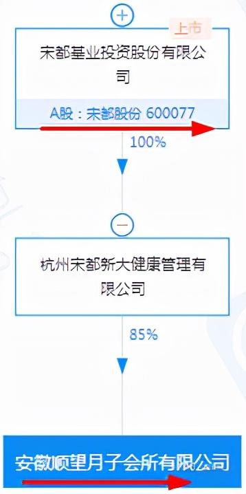 宋都股份：托育服务+月子会所+农业乡村振兴+太阳能光伏+锂电