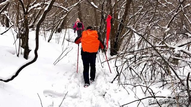 「23」林海雪原 冰雪盛宴——2020.01.12沣峪大坝沟穿越小坝沟