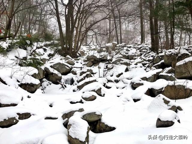 「23」林海雪原 冰雪盛宴——2020.01.12沣峪大坝沟穿越小坝沟