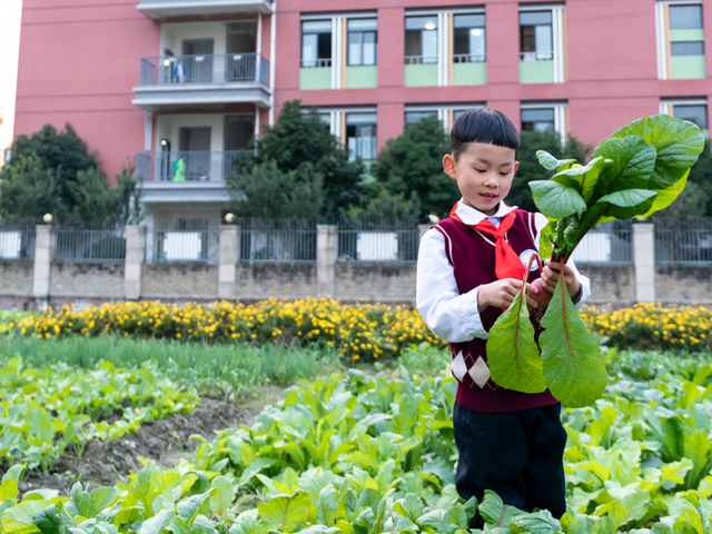 成都中小学幼儿园部分年级今天放假！留了些啥作业？