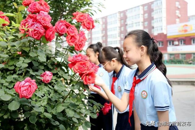 美翻了！快来看看这些藏在潍坊校园里的夏日美景