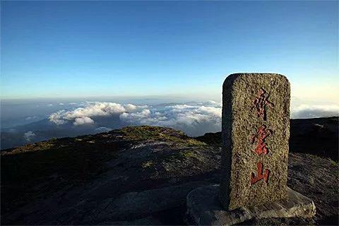 「旅游」爬山、逛街、观园、品茶、摘菜！主播约你去旅游！