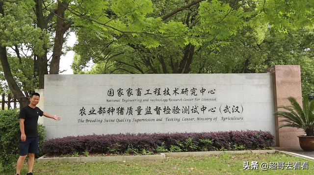 学校占地面积全国第三，武汉第一，一所来了就不想走的211高校