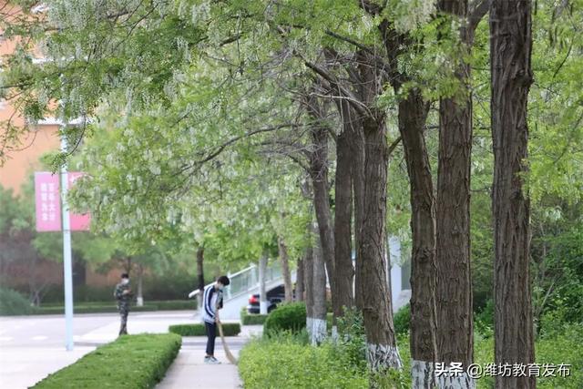 美翻了！快来看看这些藏在潍坊校园里的夏日美景