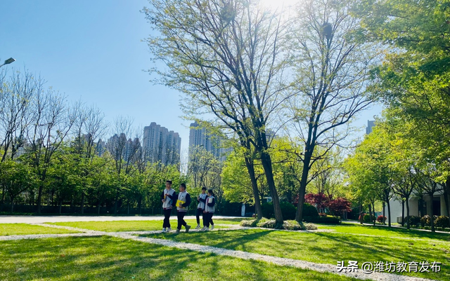 美翻了！快来看看这些藏在潍坊校园里的夏日美景