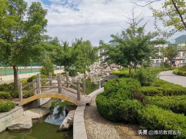 美翻了！快来看看这些藏在潍坊校园里的夏日美景