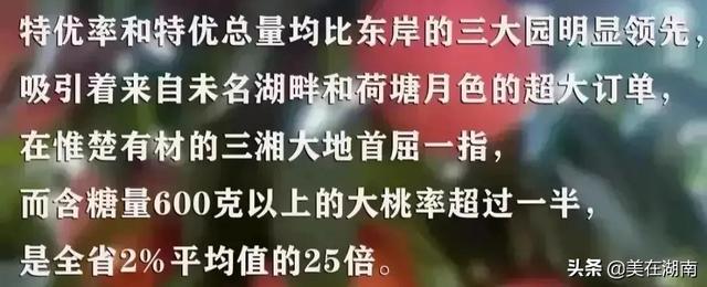 2022年湖南部分学校的高考成绩