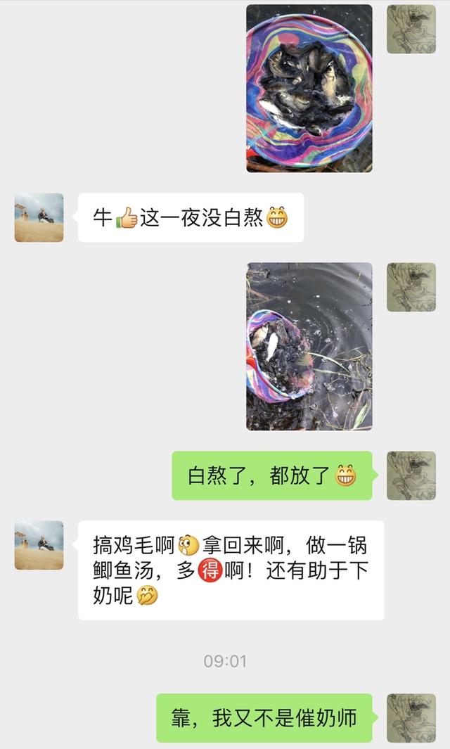 夜钓上庄不畏难，冰火两重天，爆护何其艰？