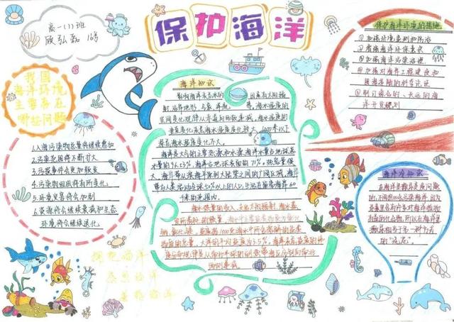 漫画、地图、海报……长宁学生的这些作品充满科学元素！