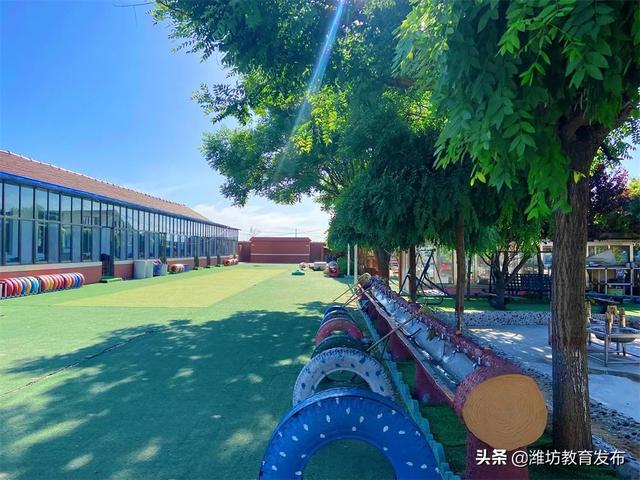 美翻了！快来看看这些藏在潍坊校园里的夏日美景