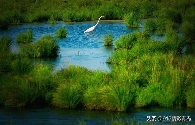 东北地名，究竟有多魔性？