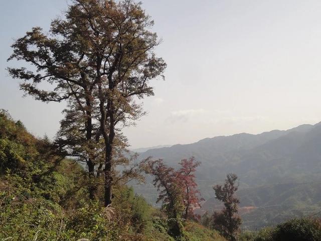 徒步犀溪红枫古道和穿越后溪峡谷