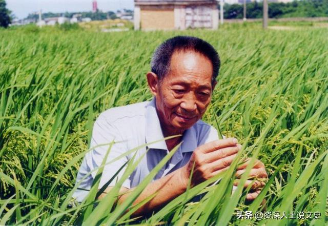 有人说袁隆平没有什么贡献，没能喂饱中国人的肚子？纯属胡说八道