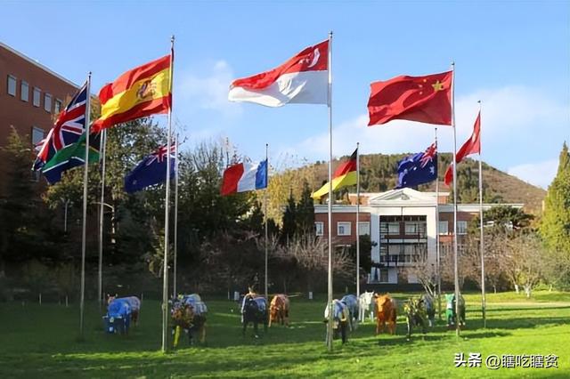 北京国际高中排名一览