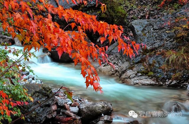 陇南风光 | 你好官鹅沟，我与你在秋天有个约定！