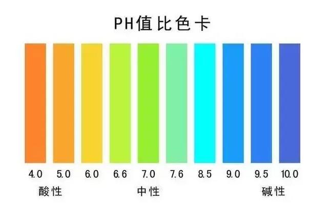 美！炸！了！不用高光也能敷出的水饺肌……