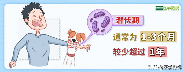 狂犬病病死率100%！被抓、咬伤后24小时内没打疫苗怎么办？