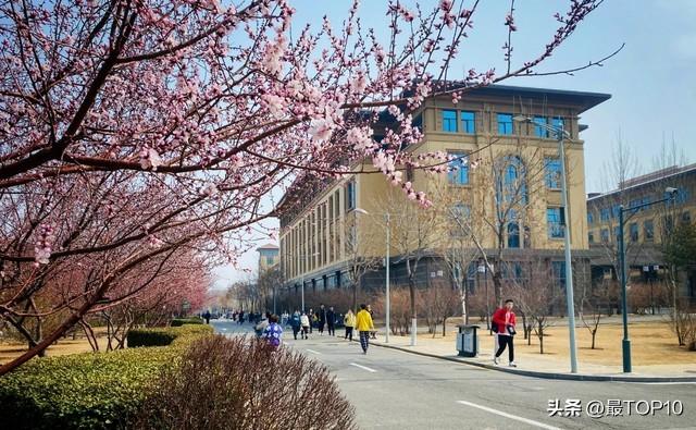 山西省排名前十大学，探秘高等教育的独特魅力！