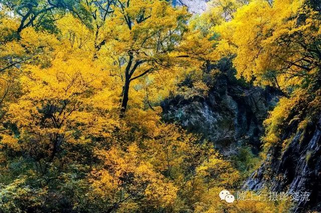 陇南风光 | 你好官鹅沟，我与你在秋天有个约定！