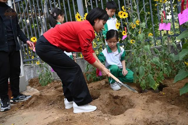 春风十里，共“植”有你！肇庆师生植树添绿忙~