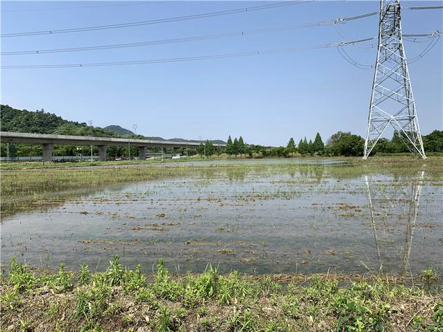 用网络继电器diy智能配电箱实现农田水泵远程抽水