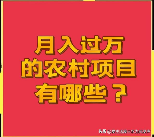 分享几个月收入过万，但投资金额不大的农村项目，想赚钱的别错过