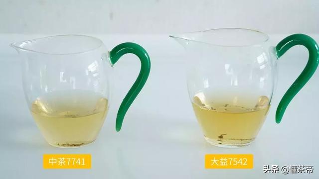 大益7542 VS 中茶7741全方位对比，告诉哪款普洱更值得买