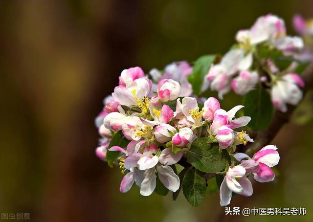 上了年纪不仅状态差，还易泻？中医大补脾肾之阳气守住失职的精门