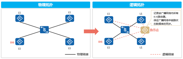 2.2.0 ISIS 4种报文类型IIH、LSP、CSNP、PSNP、邻居建立过程