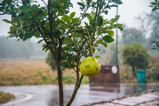 走进东湖邓家，看秀美乡村