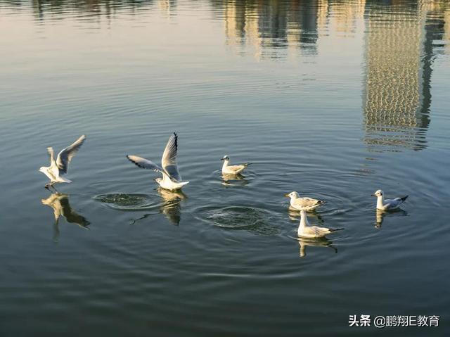 「师生风采」陕西航空职业技术学院——摄影作品欣赏