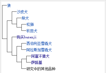 帮狗狗寻祖｜你知道你的狗狗祖上是谁吗？